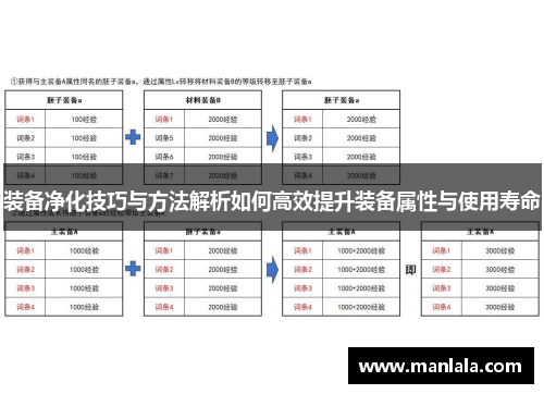 装备净化技巧与方法解析如何高效提升装备属性与使用寿命